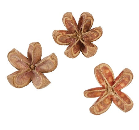 Dried Natural Achiote Flower in Bag
