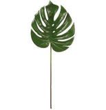 Monstera Leaf Spray - 23.5