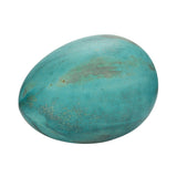 Dino Egg