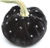 Hot Skwash Ebony Velvet Pumpkins