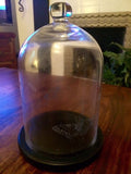 Glass Bell With Wooden Base
