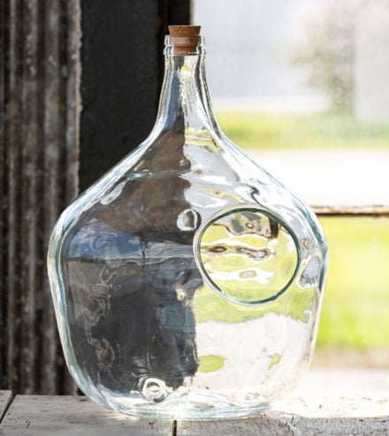 Glass Bottle Terrariums