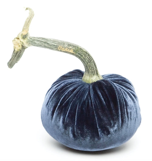 Hot Skwash Sapphire Velvet Pumpkin