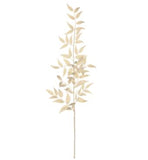 Cream Italian Ruscus Spray - 36