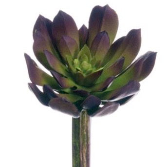 Matte Black/Purple Succulent Pick