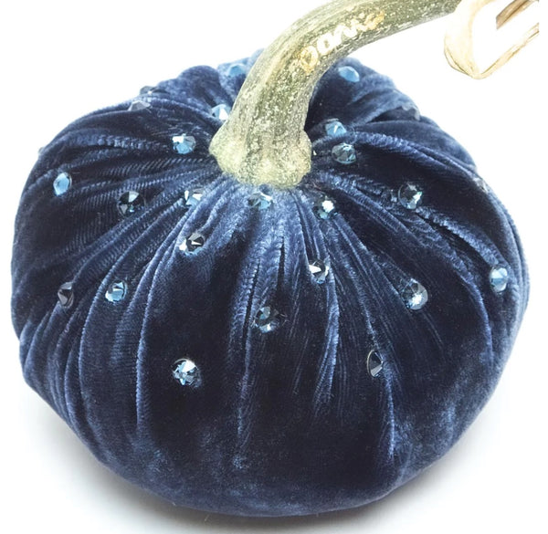 Hot Skwash Sapphire Velvet Pumpkin