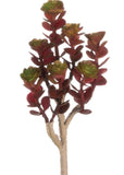 Burgundy Succulent Pick - 8