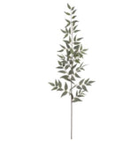 Italian Ruscus Leaf Spray - 44