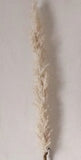 Faux Flocked Grass Plume - 42