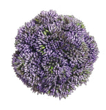 Sedum Orb