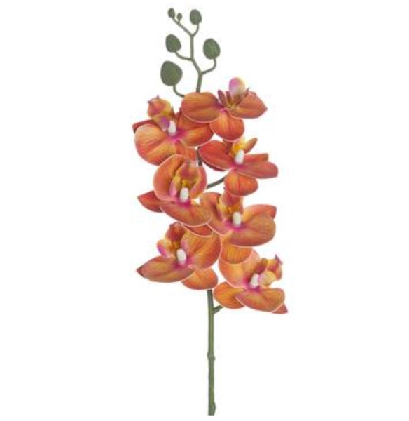 Orange Phalaenopsis Orchid Spray - 25"