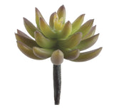 Mini Agave Pick - 4
