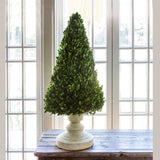 Boxwood Cone Tree on Stand