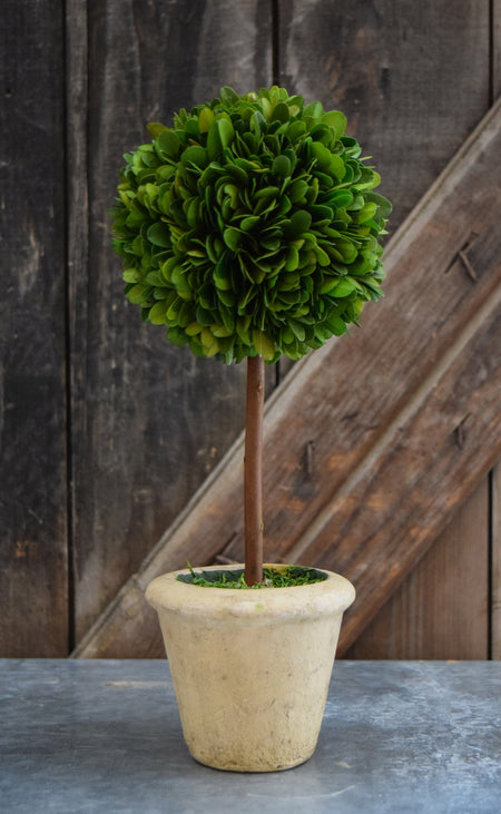 Twig & Boxwood Wreath - 24"