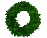 Boxwood Wreath - 10