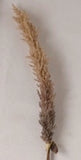 Faux Flocked Grass Plume - 42