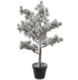 Snowed Pine Tree in Pot