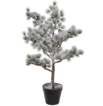 Snowed Pine Tree in Pot
