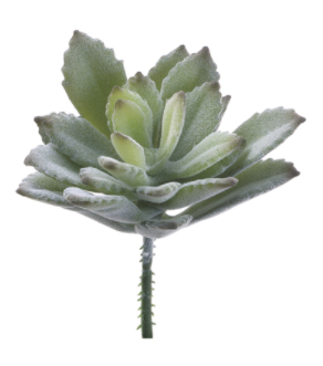 3" Baby Agave Pick-Green