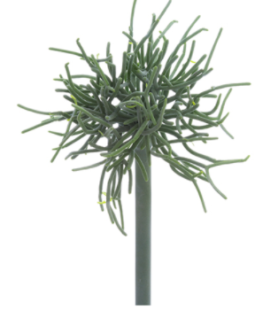 Coral Succulent Pick - 9"