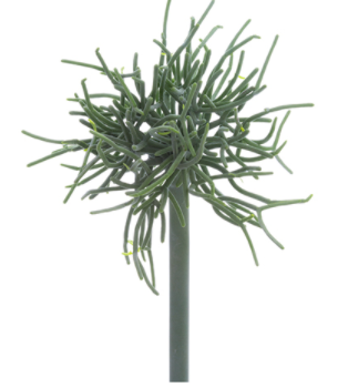 9" Pencil Cactus Pick- Green/Gray