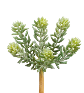 Succulent Branch - 16.5"