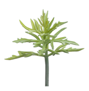 8" Leaf Succulent Pick- Green/Gray