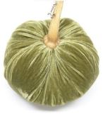 Hot Skwash Leaf Velvet Pumpkin