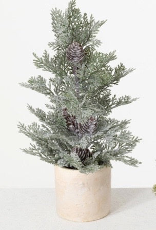 Mini Potted Pine Trees – buds 'n bloom design studio