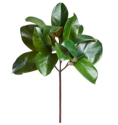 Magnolia Leaf Pick - 16"
