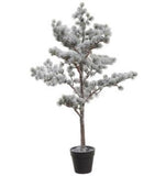 Snowed Pine Tree in Pot