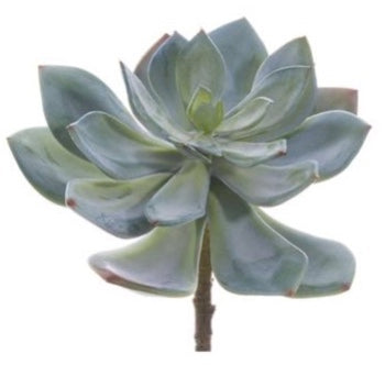 Matte Black/Purple Succulent Pick