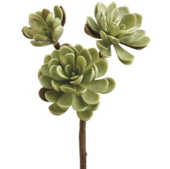 Matte Black/Purple Succulent Pick