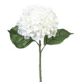 Hydrangea Stem - White 24