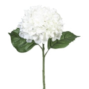 Hydrangea Stem - White 24"