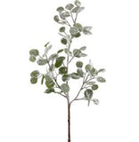 Snowy Eucalyptus Leaf Spray