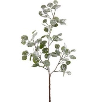 Snowy Eucalyptus Leaf Spray