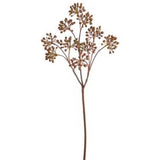 Rust Berry Spray