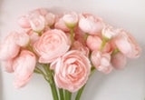 Mini Ranunculus Bunch