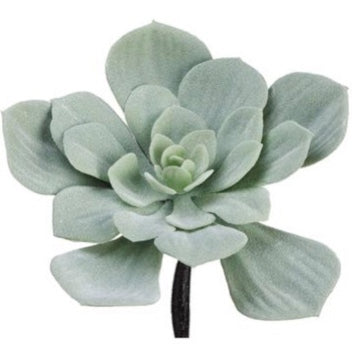 Matte Black/Purple Succulent Pick