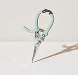 Pruning Shears