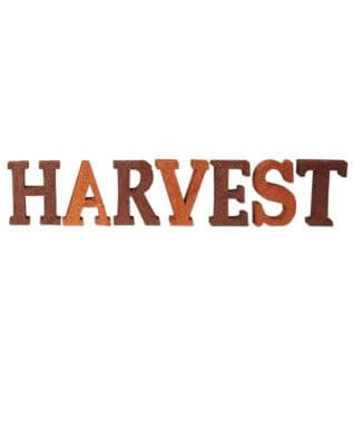 Harvest Glitter Letters