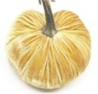 Hot Skwash Maize Velvet Pumpkin