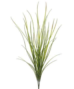 42" Tall Wild Grass Bush