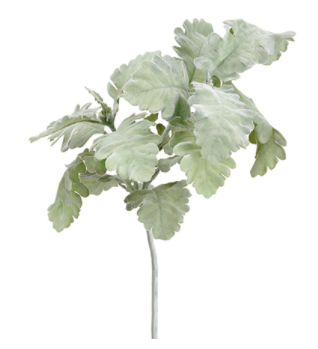 19" Dusty Miller Spray- Green/Gray