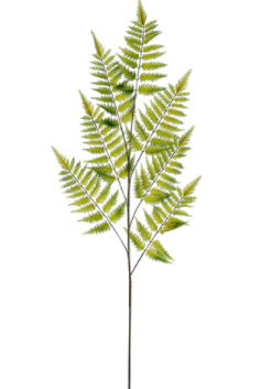 53" Forest Fern Spray