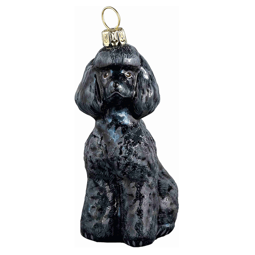 Toy Poodle - Black