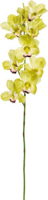 32" Orchid Branch