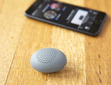 Micro Pebble Speaker
