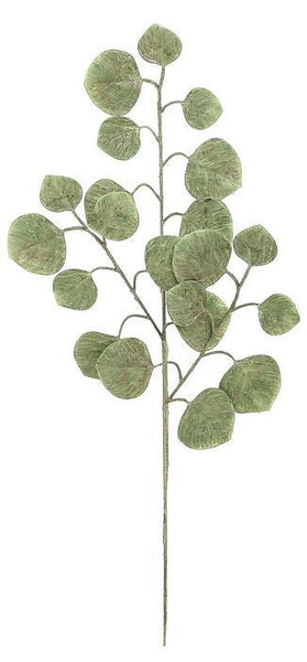 Gold Wash Eucalyptus Spray